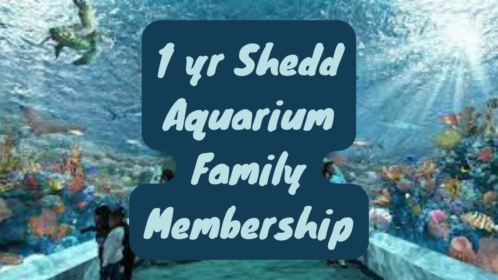 1 year Shedd Aquarium Family Membership