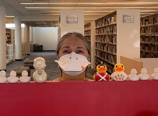 A row of ducks on a ledge - a few rubber ducks, a ceramic one, and in the middle Rosella wearing a face mask that looks like a duck bill
