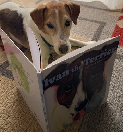 A terrier reading the book Ivan the Terrier